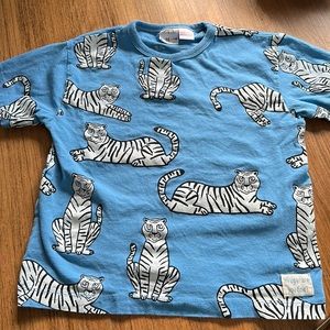 Boys Zara shirt